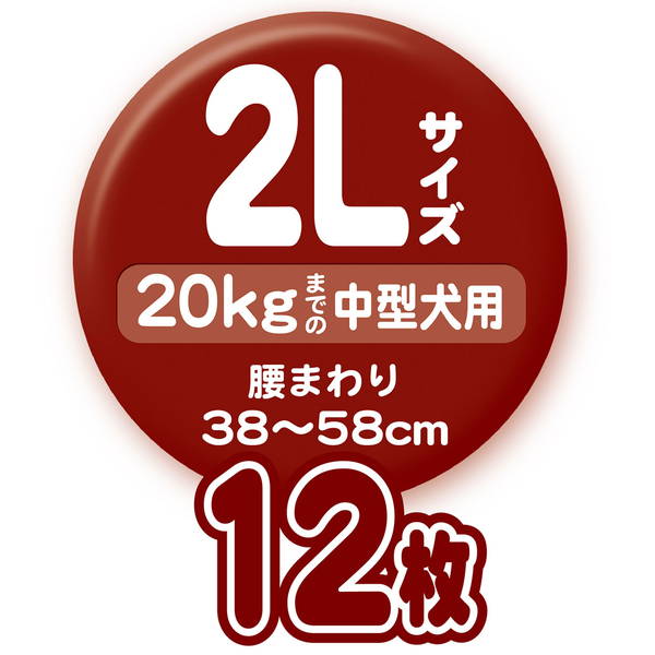 <a href="https://www.qoo10.jp/gmkt.inc/Search/brand.aspx?brandno=66334" target="_blank" class="title_brand" id="btn_brand" title="ペティオ">ペティオ</a>犬用オムツ ずっとね 介護から生まれた紙おむつ 2L 12枚 中型犬 20kg W26864