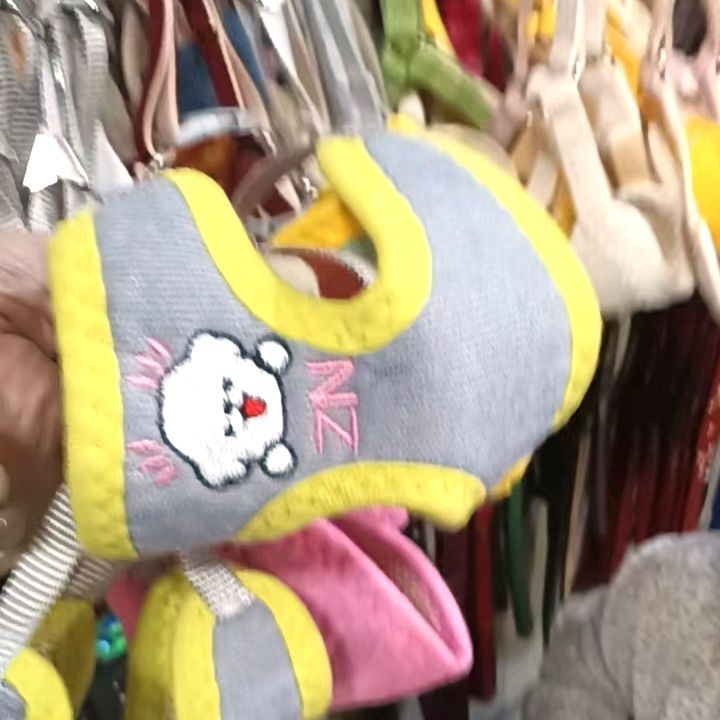 ミッキーは犬を散歩します