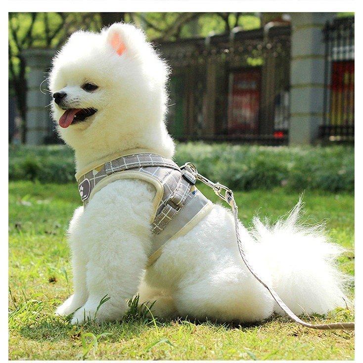 首輪 リード 犬用 服 おしゃれ 犬 小型犬 かわいい ハーネス 脱げない
