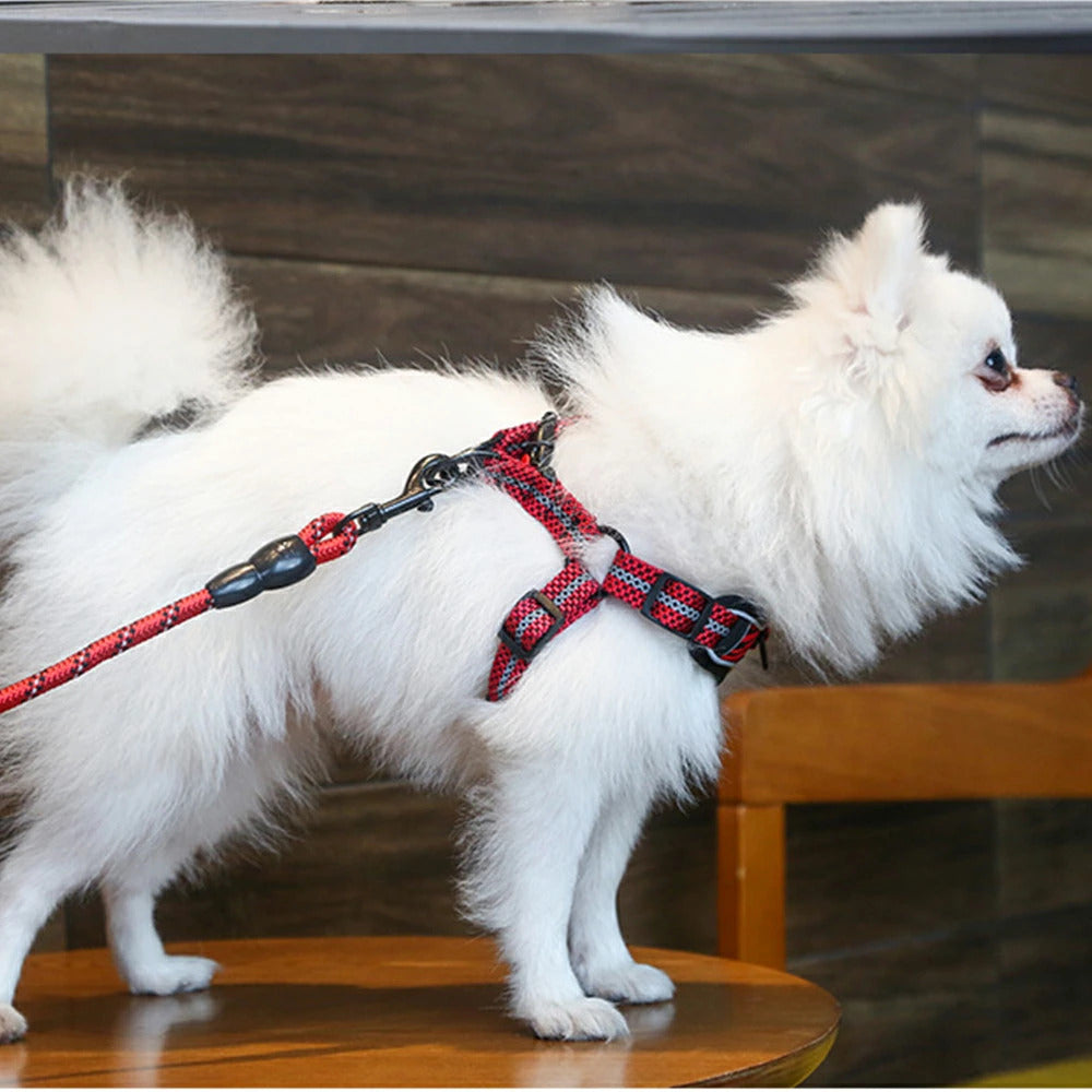 すぐに発送可能 ハーネス 犬用ハーネス リード 犬用リード お散歩リード お散歩 お洒落リード スタイリッシュ ワンタッチ ベスト 犬 イヌ 小型犬 中型犬 反射テープ サイズ展開豊富 カラー展開豊