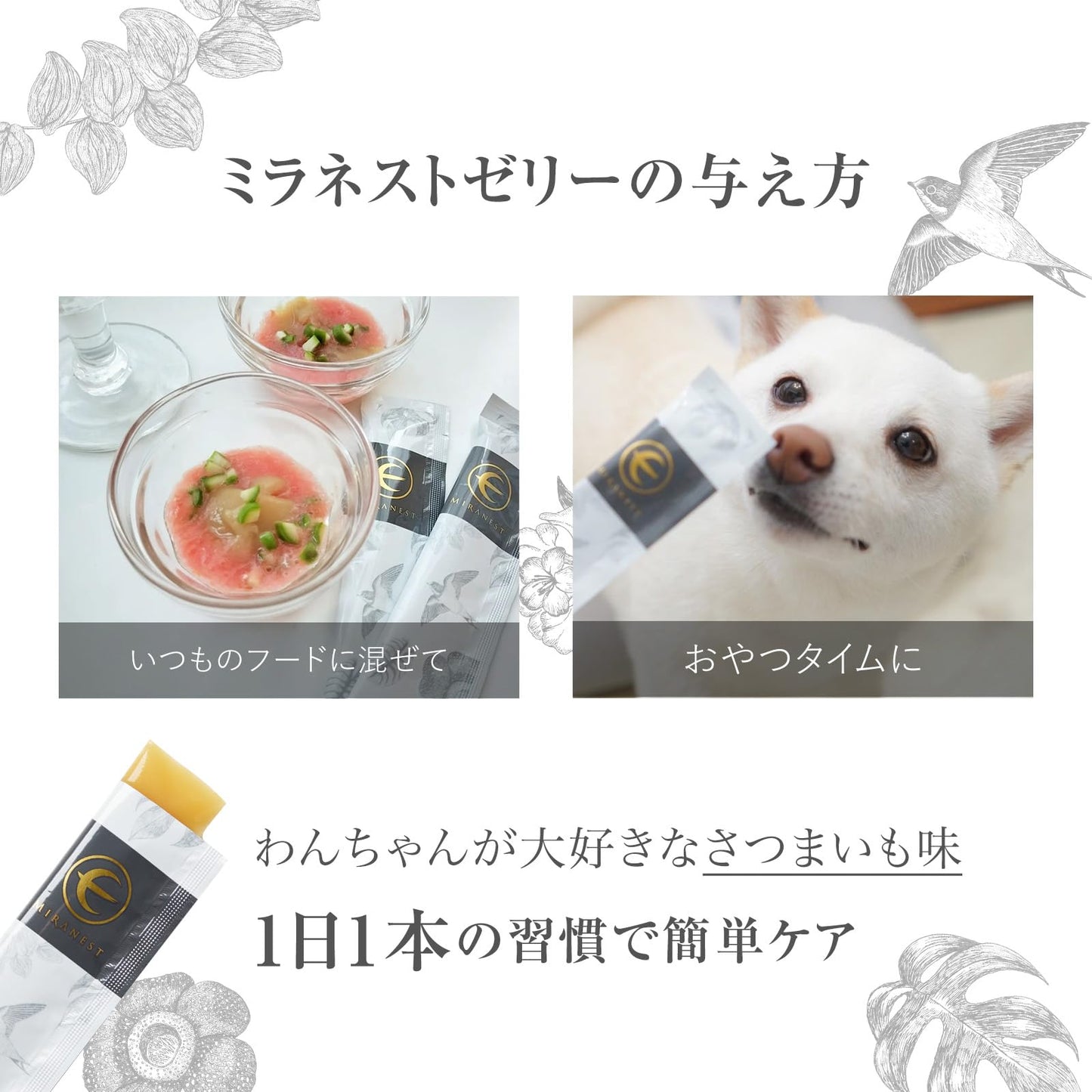 犬用 ゼリー サプリメント ペット用 被毛ケア 栄養ゼリー アナツバメの巣 保健成分 コラーゲン 糖鎖 シアル酸 保湿 水分補給 経口補水液 天然 無添加 さつまいも風味 国産 30本入 1本12g