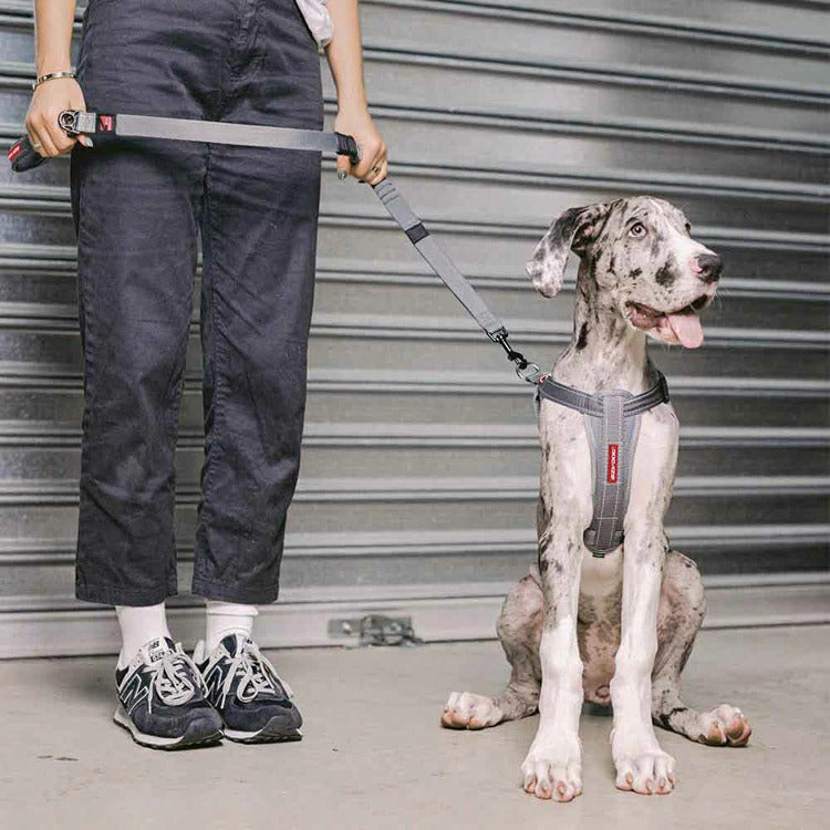 【人気商品】EZ リード ゼロショック 120cm EZYDOG