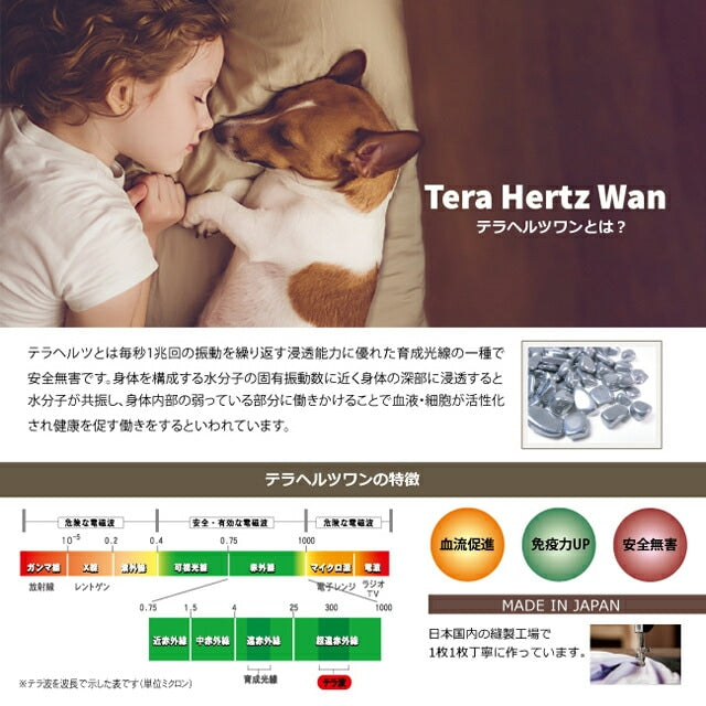 <a href="https://www.qoo10.jp/gmkt.inc/Search/brand.aspx?brandno=125763" target="_blank" class="title_brand" id="btn_brand" title="Coo Couture">Coo Couture</a>SWDテラヘルツワンベルクロTシャツペット介護 犬用ペットウェア 中型犬 大型犬 犬服 テラヘルツワン クークチュール 2メ-3運 12137 【T】