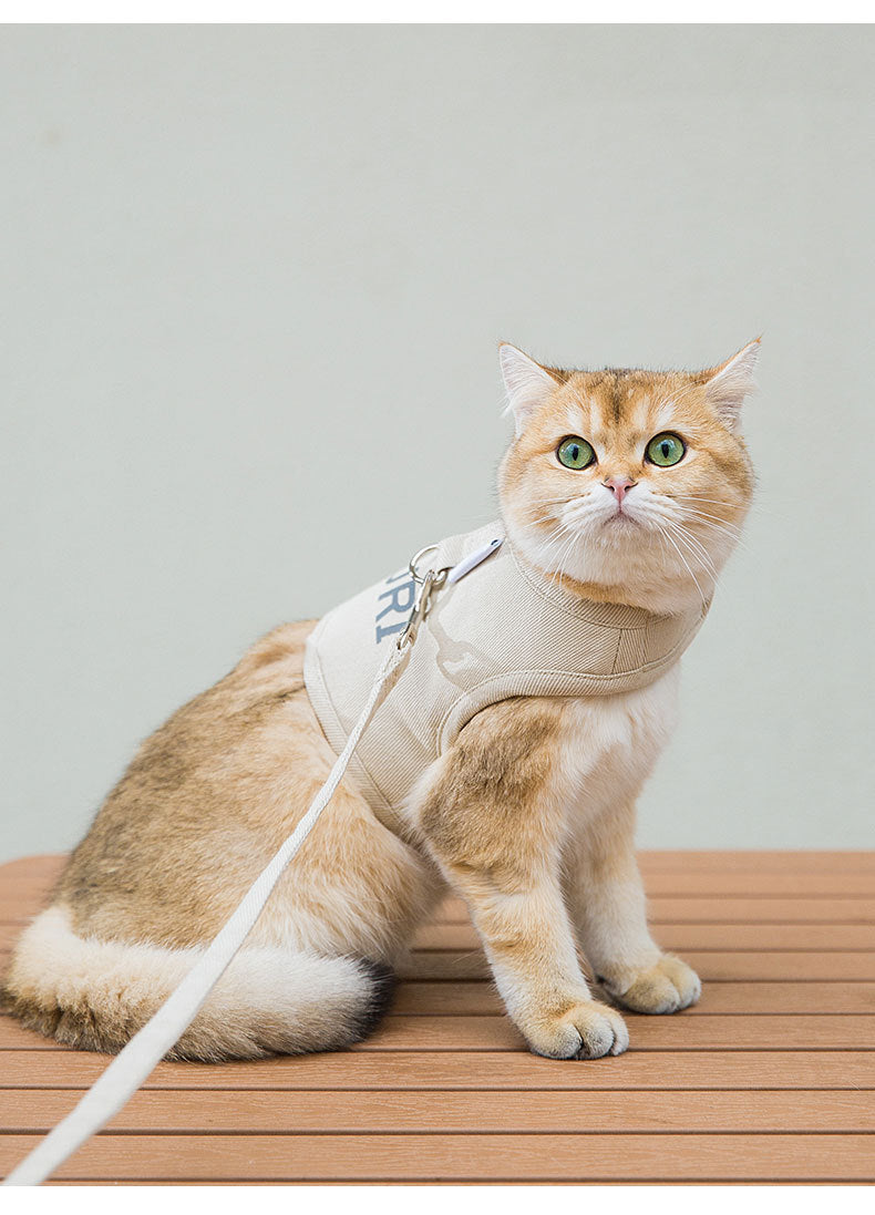 選べる福袋2025-犬 ハーネスリード 2点セット ペット用品 大型犬 小型犬 中型犬 ペットグッズ 犬用 猫用 胴輪