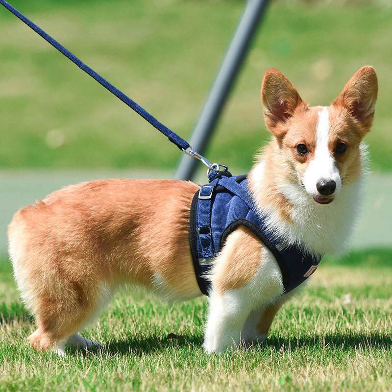 苦しくない ハーネスリード 脱げない 背中開き 犬 小型犬中型犬 高級秋冬物 4カラー おしゃれな