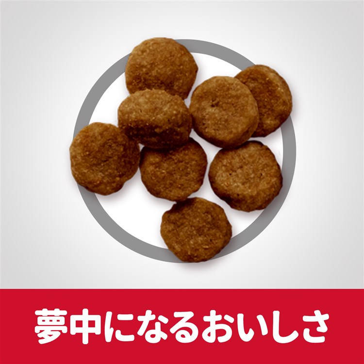 ドッグフード 犬 ヒルズ サイエンスダイエット 10歳以上 シニアプラス 小型犬用 高齢犬用 1.5kg スモール 老犬 老齢 ドライフード ドライ フード ペット【TC】 メガ割