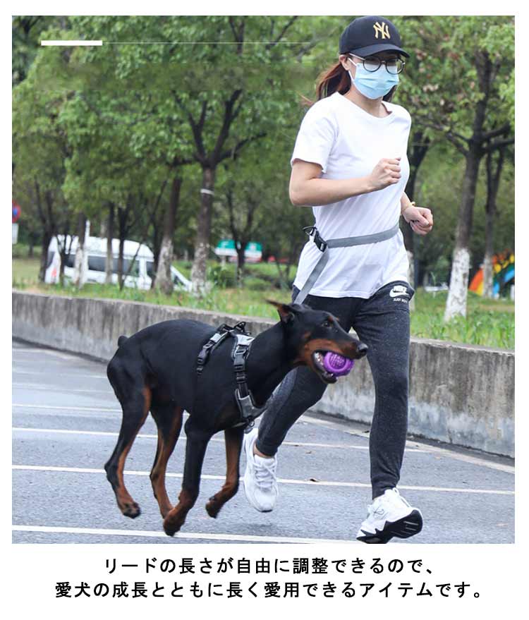 高い人気 リード 犬 ハンズフリー 腰に巻ける 肩掛け 犬リード 大型犬 中型犬 小型犬 しつけ用リード 犬と一緒にランニング/ジョギング/散歩用 ベルト ショルダー ポール留め マルチ ペット用品