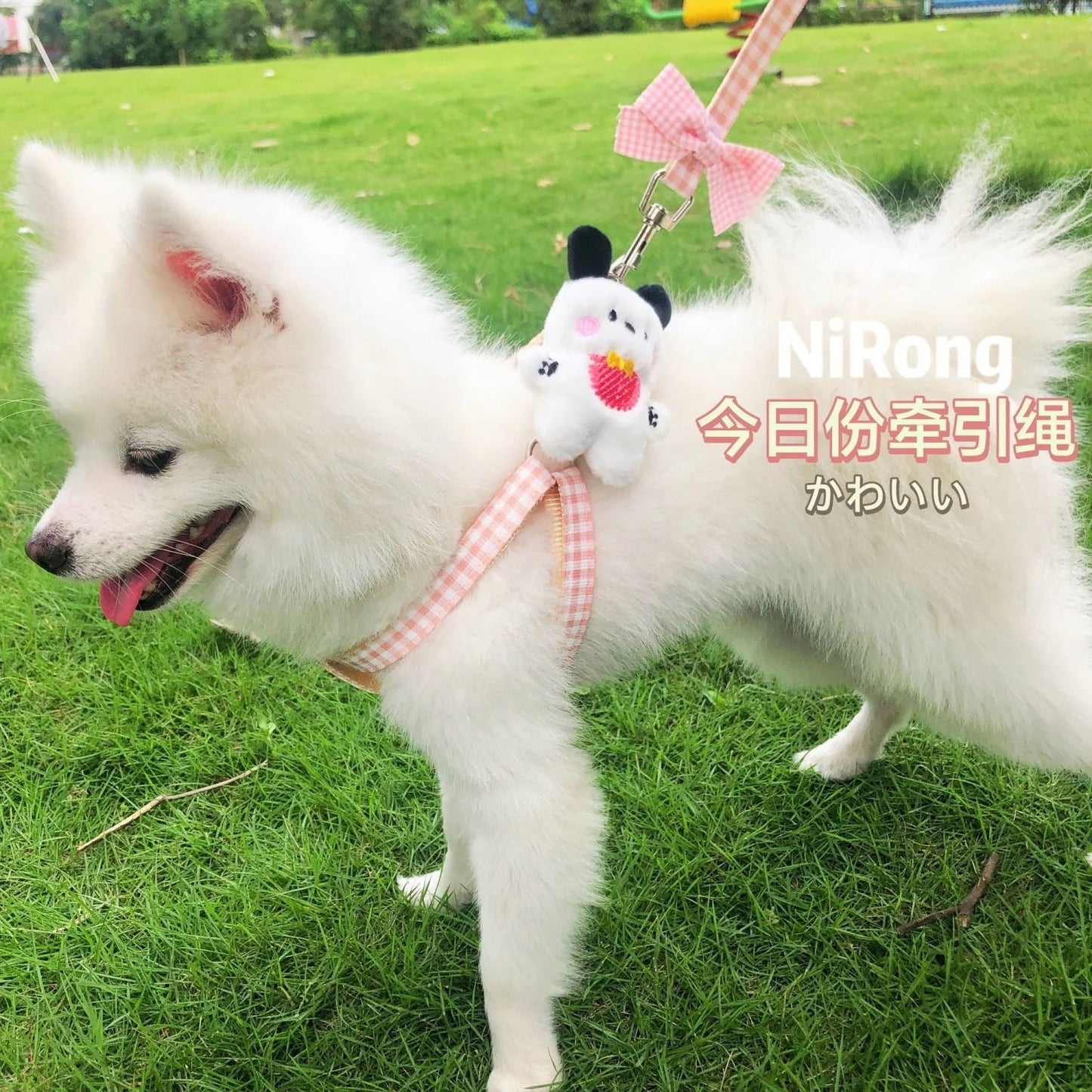 メガ割犬牽引ロープ漫画散歩犬牽引ロープ胸ストラップ屋外犬ロープ犬チェーン猫ロープ猫博美テディ963