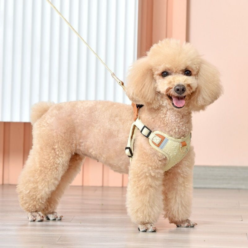 小型犬の胸のストラップの犬の牽引縄のテディは熊の貴賓の子犬より犬のひもの犬のチェーンを散歩します