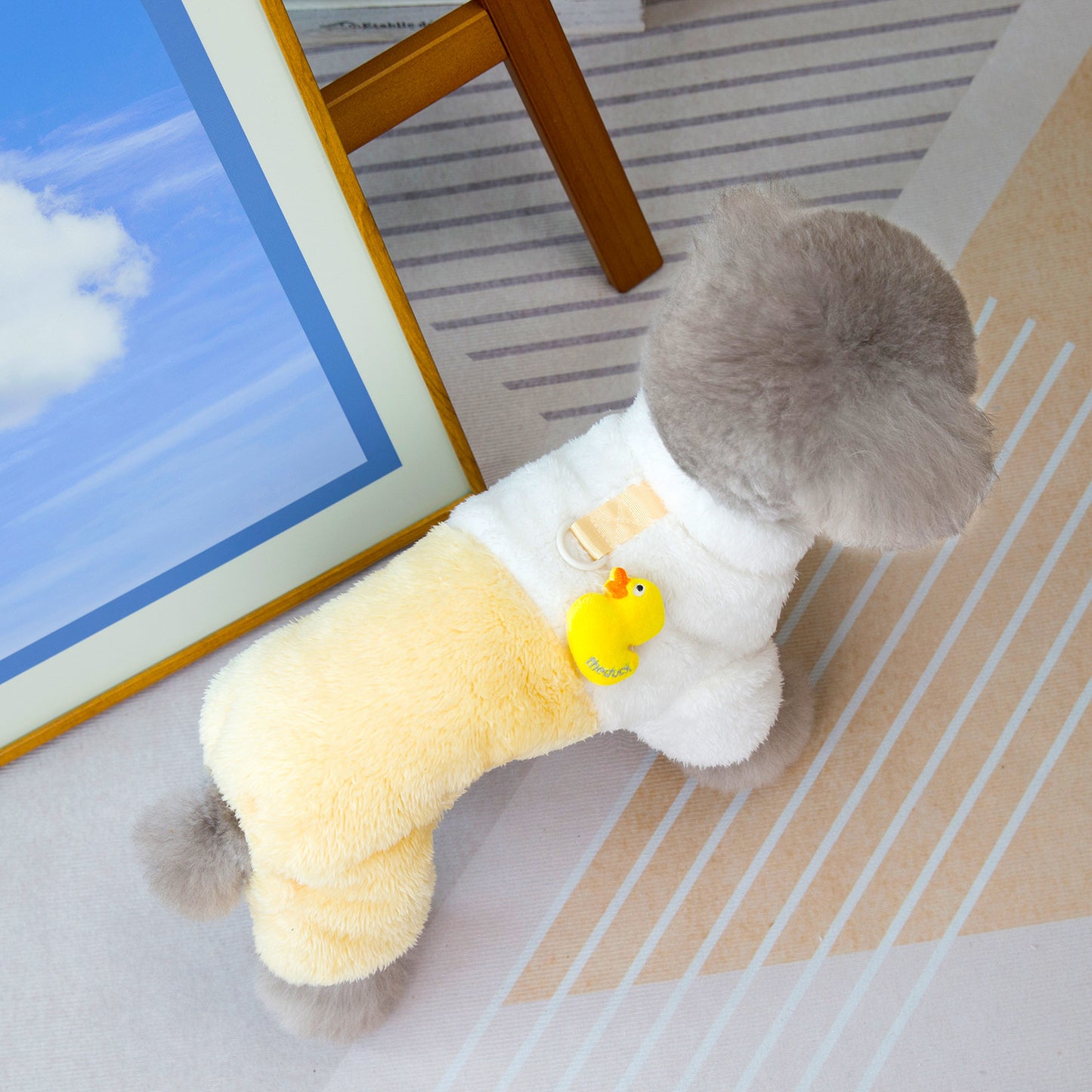 人気犬の服ペット服小型犬猫が着ることができる秋と冬の新しい暖かい快適なアヒル4脚フリースジャケット