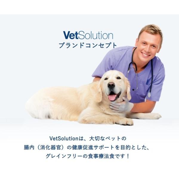 VetSolution ベッツソリューション 犬用 肝臓サポート 3kg ドッグフード 犬 餌