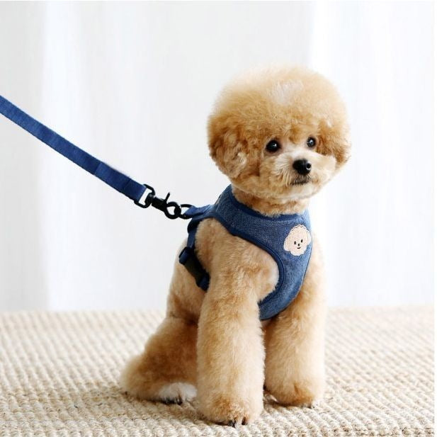 韓国版の中で小型の犬のテディは熊のコーキに比べて外出して犬を散歩します メガ割ワンピースパンツトートバッグ