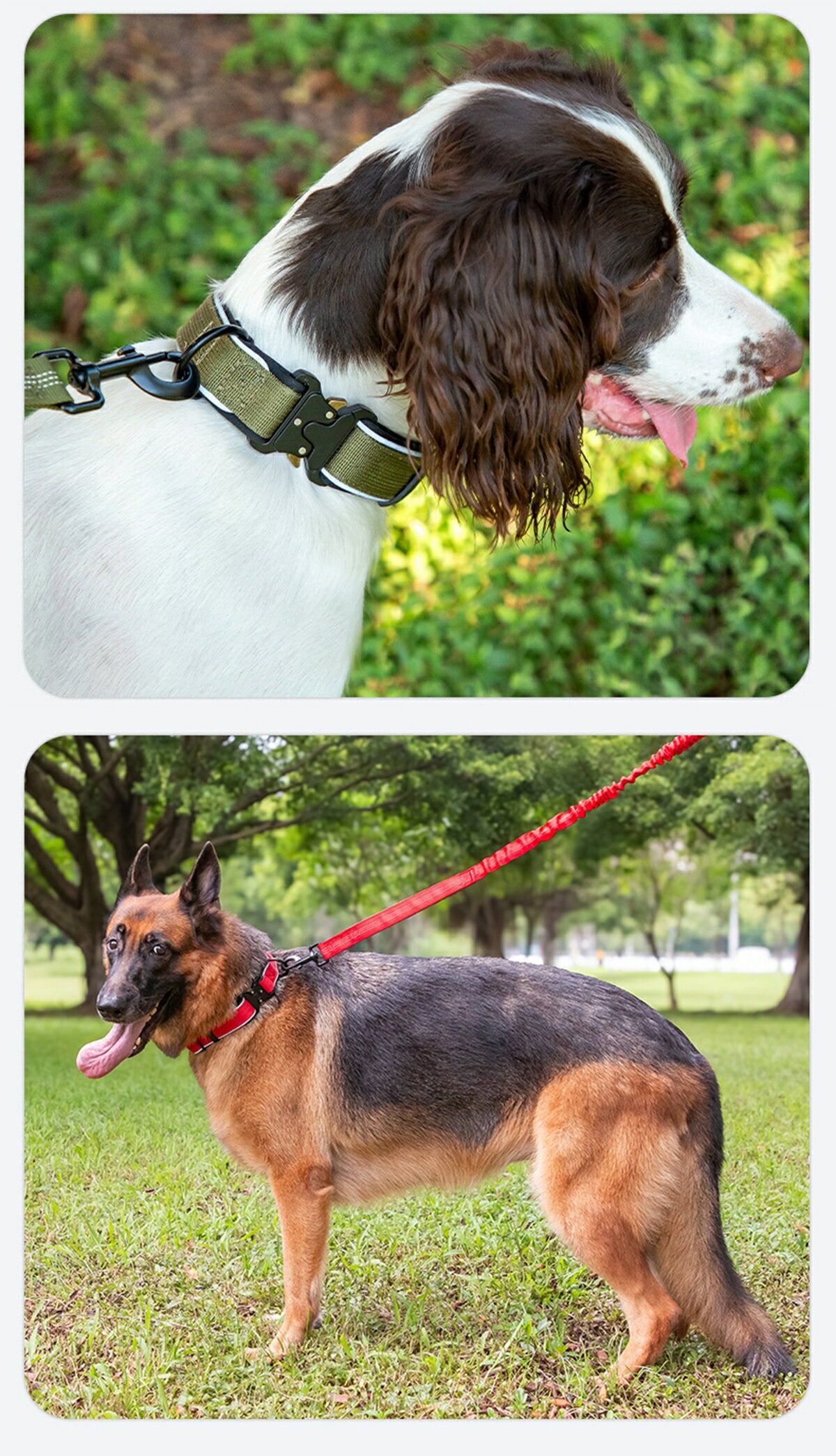 人気 夜間反射 犬首輪 犬用首輪 犬の首輪 小型犬 中型犬 大型犬 調節可能 おしゃれ メッシュ 通気性 柔らかいパッド ソフト 夜対応 反射材付き 犬 いぬ 伸縮性 痛くない 幅広 安心 安全 軽い
