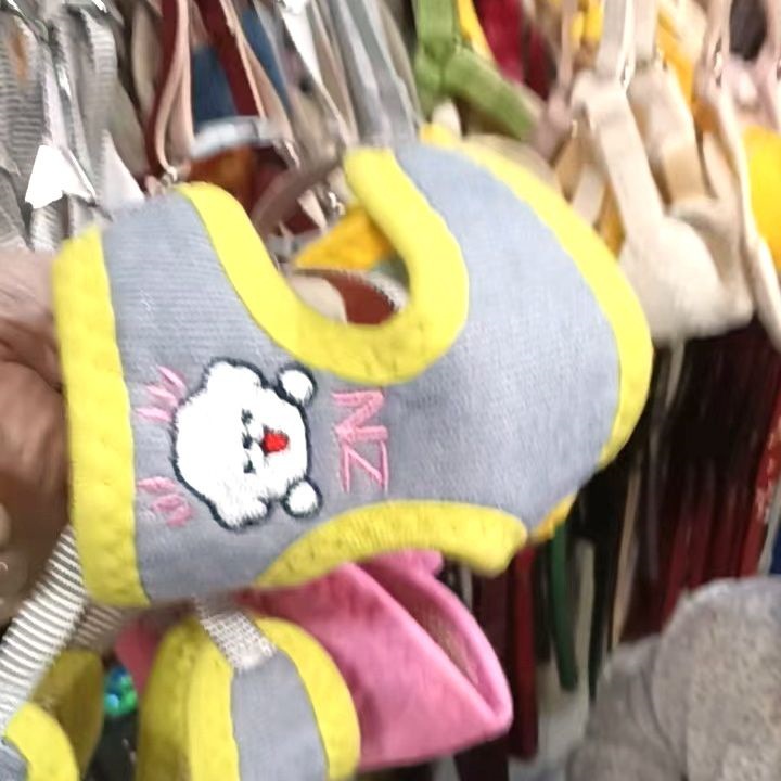 ミッキーは犬を散歩します