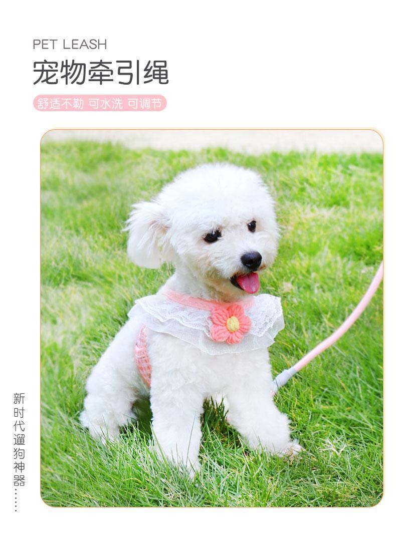 犬の牽引紐は犬のチェーンの小型犬のペットの胸の帯のテディの熊の子犬を散歩します