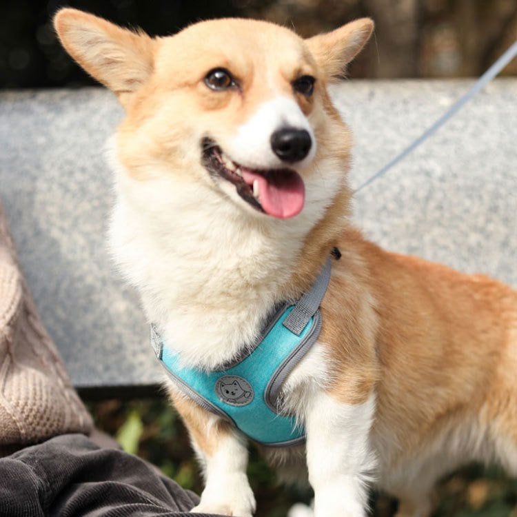 犬具 ハーネスリードセット 小型犬 ドッグ メッシュ ハーネスリード dog ベスト型 胴輪 犬用