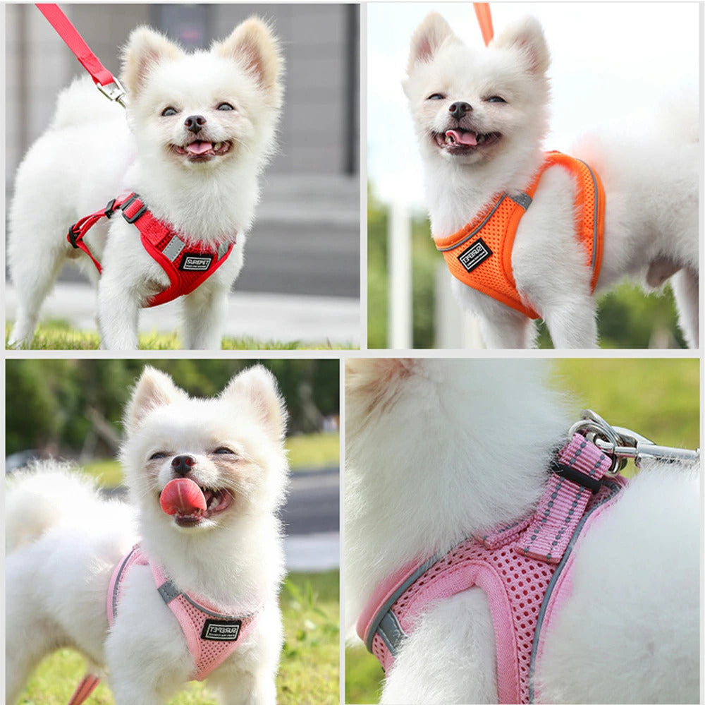 利用可能なポイント ハーネス 犬用 リード お散歩 お散歩 お洒落 スタイリッシュ ワンタッチ ベスト 犬 イヌ 小型犬 中型犬 大型犬 ベストハーネス 反射ステッチ 反射テープ サイズ展開豊富 カ