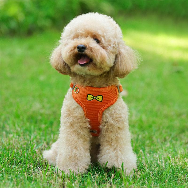 中型犬小型犬散歩グッズ 簡単装着 犬 脱げない 首輪 4カラー 苦しくない ハーネスリードセット おしゃれな