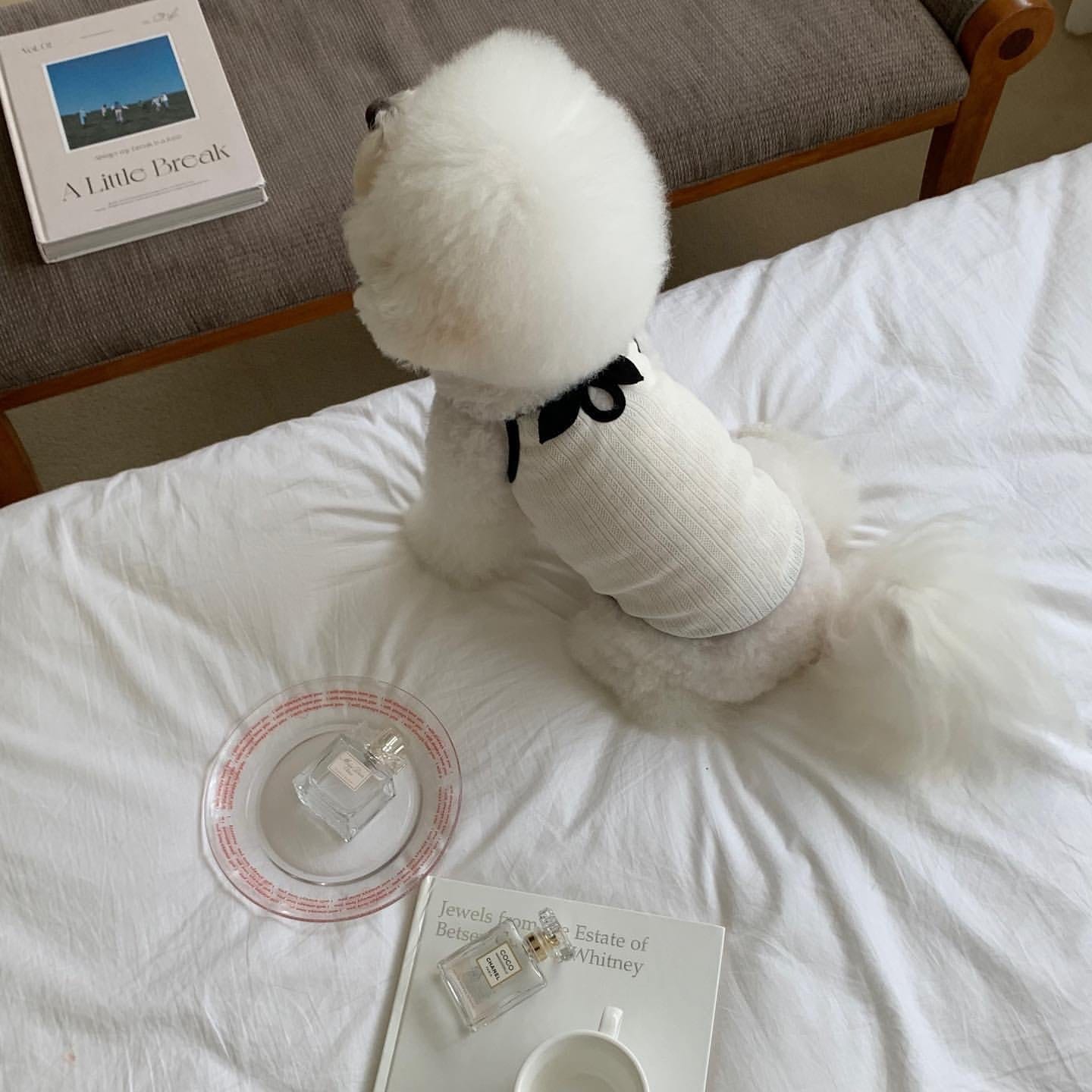 春夏新作 犬服 ペット服 犬 洋服 ペット 犬用品 小中型犬 春夏薄手犬服猫小型犬キャミソールベスト