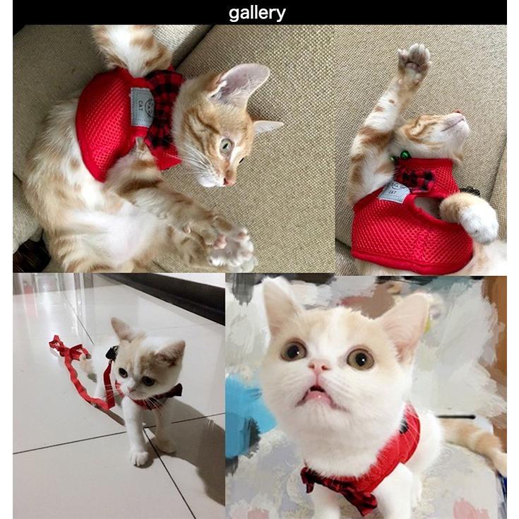 リボン リーシュ キャット ウェアハーネス 服 犬 ペット ドッグ リード メッシュ 胴輪 猫 ハーネス