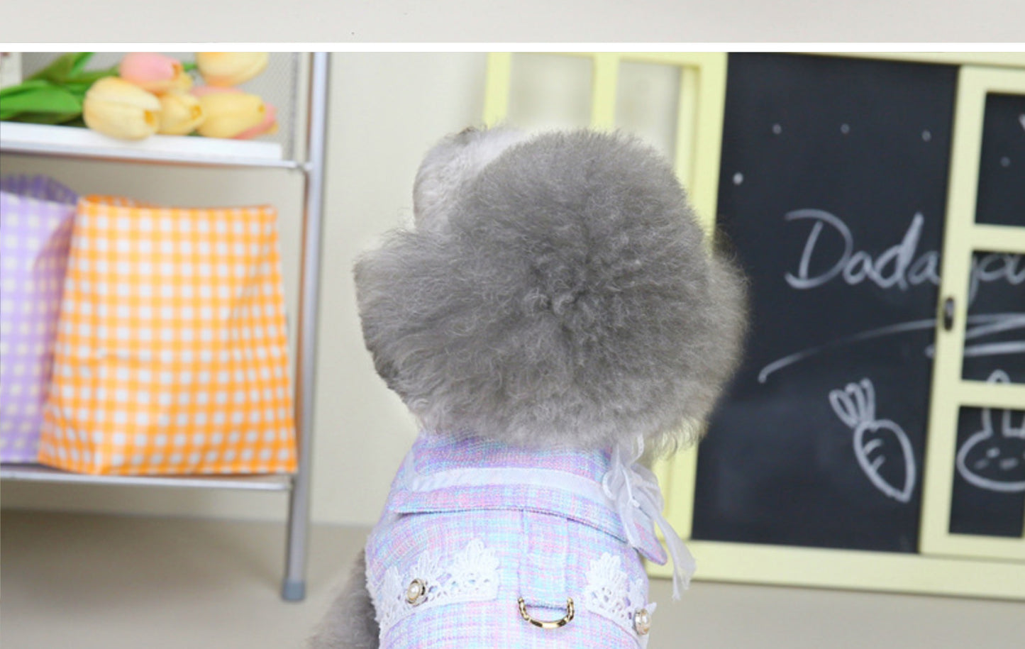 猫 犬 洋服 犬服 ペット服 大中小型犬 ペット用品 犬/猫用 犬の服 ペットウエア 小型犬 中型犬 通気 可愛い ドッグウェア トレーナー 犬 服 ワンピース サロペット ビションフリーゼ 犬猫服