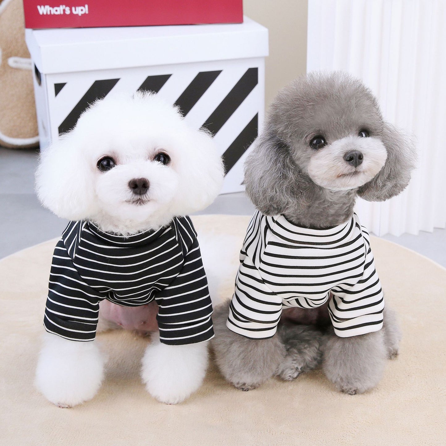 猫 犬 洋服 犬服 ペット服 大中小型犬 ペット用品 犬/猫用 犬の服 ペットウエア 小型犬 中型犬 通気 可愛い ドッグウェア トレーナー 犬 服 ワンピース サロペット ビションフリーゼ 犬猫服