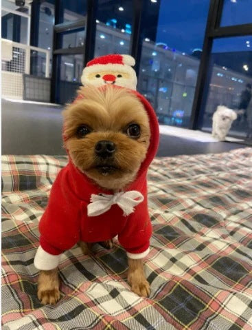 2025クリスマスのペット犬猫の肌着秋冬新作テディファト中型犬用品スポーツクリスマス