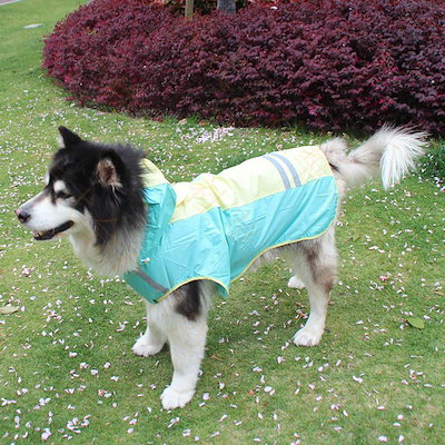 ドッグウエア 犬服 ペット服 ペットウエア 犬 愛犬 ペット レインコート防撥水 パーカー 雨 カラフル レイン ペットグッズ 洋服 秋 冬 シンプル カジュアル