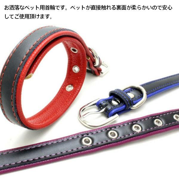 シンプル首輪 セール 首輪 中型犬 翌日配達対応 ベーシック首輪 犬 ペット首輪 小型犬 ネコポス送料無料 犬の首輪