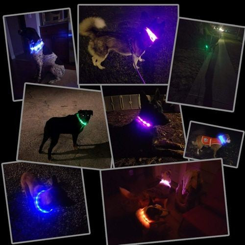 小型犬 プレゼントラッピング無料 犬 中型犬 シリコン 大型犬 防水 猫 LED 夜の散歩 首輪 取り外し可能 光る