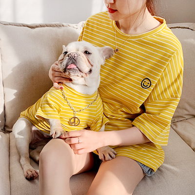 高級な質感 ドッグウエア 犬服 猫服 ペット服 ペットウエア 犬 猫 愛犬 ペット ペット用品 カラフル ペットグッズ 洋服 春 夏 秋 シンプル Tシャツ