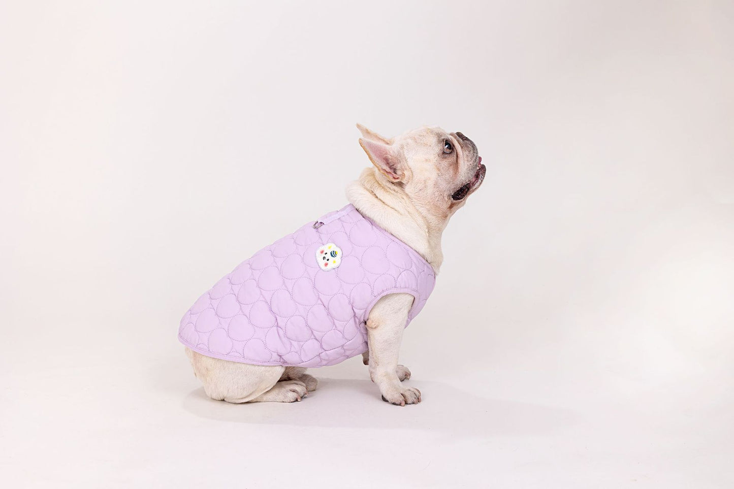 人気ペット服 犬の服 ペットの服 秋冬 ブルドッグモデル ブルドッグ 4色 コットンベスト