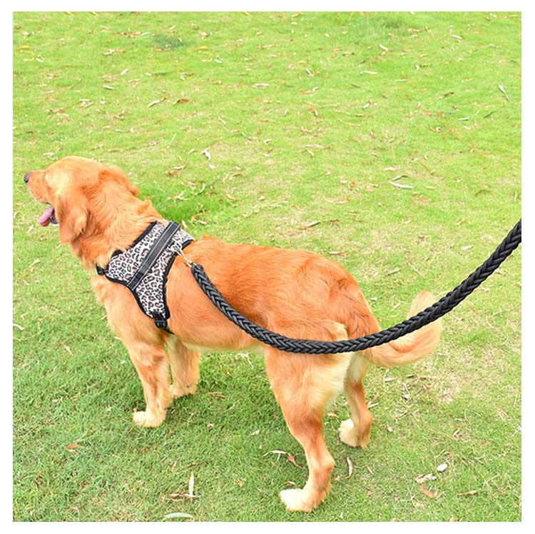 キャンペーンハーネス 犬 大型犬 柴犬 3点セット 抜けない 小型犬 調整可能 ハンドル付き 抜けにくい ハーネスリードセット 3点セット ステップハーネス 脱出防止 ウェアハーネス 犬用 ペットハー