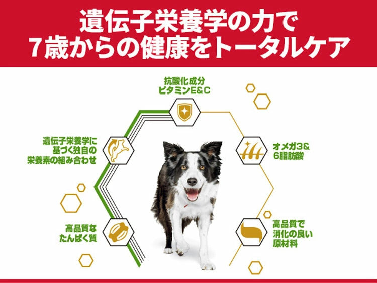 (2個セット)ドッグフード シニア 中型犬 サイエンスダイエットプロ犬用 シニアトータルケア機能 中粒 7歳以上 3kg ヒルズ メガ割