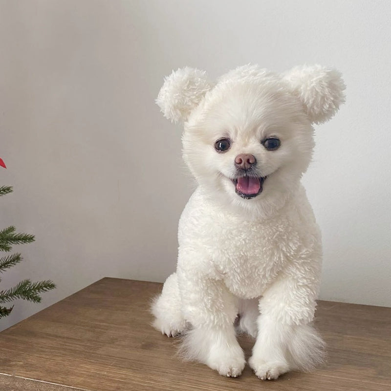ペット服 犬の服 犬猫服 テディビーベア ヨークシャー 小中型犬 服 快適 ペット用品 犬用品 秋冬服