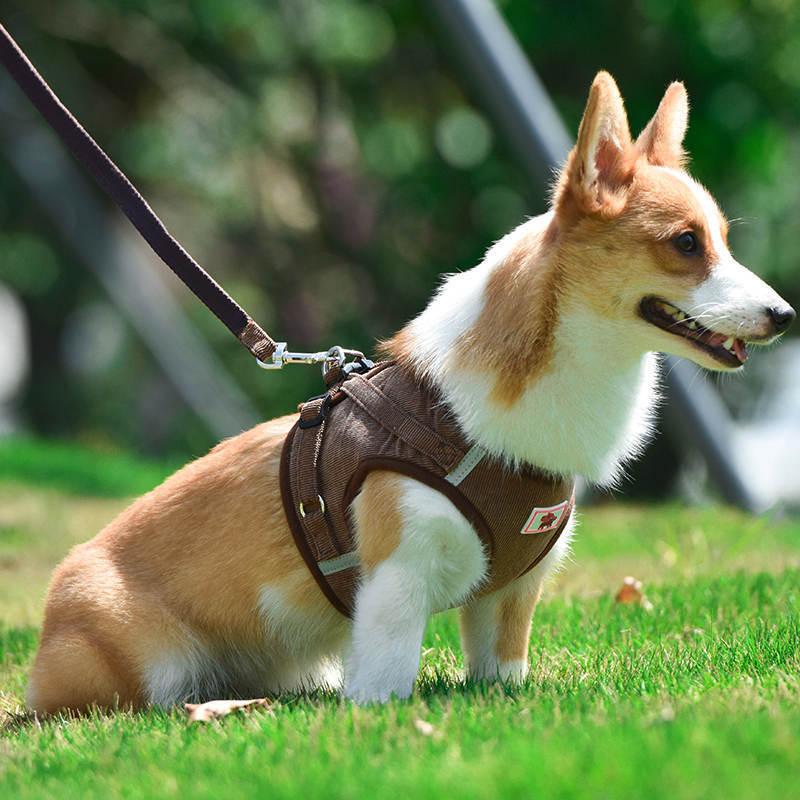 苦しくない ハーネスリード 脱げない 背中開き 犬 小型犬中型犬 高級秋冬物 4カラー おしゃれな