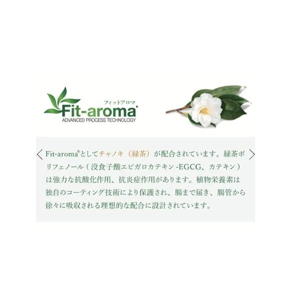 VetSolution ベッツソリューション 犬用 腎臓&シュウ酸塩サポート 3.0kg ドッグフード 犬 餌 療養食 尿毒症 尿炎 Monge