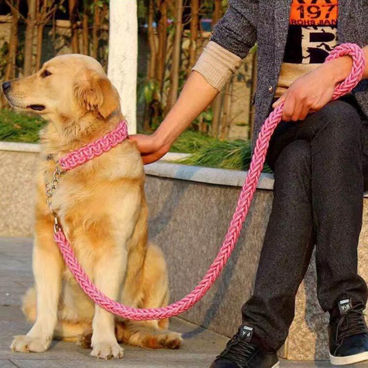 首輪付きリードセット セット ハーフチョーク 全11色×4サイズ XL + しつけ ペット 首輪 犬 中型犬 大型犬 パラコード S M L リード
