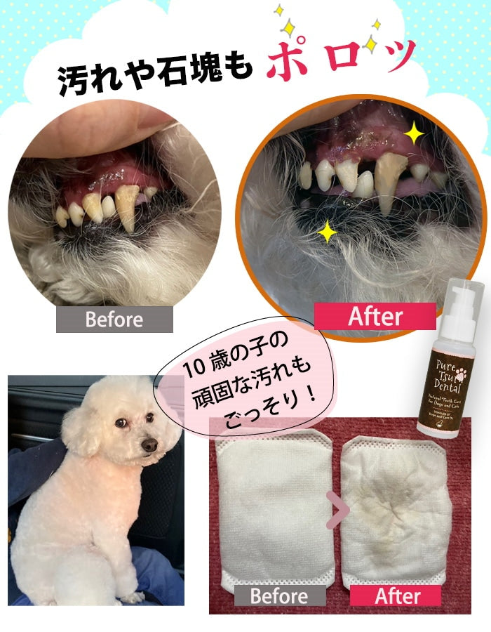 獣医推薦愛犬愛猫の歯垢歯石歯周病が塗るダケでツルツルな歯に!安心安全な100%天然由来!歯磨ジェル ピュアツルデンタル60m