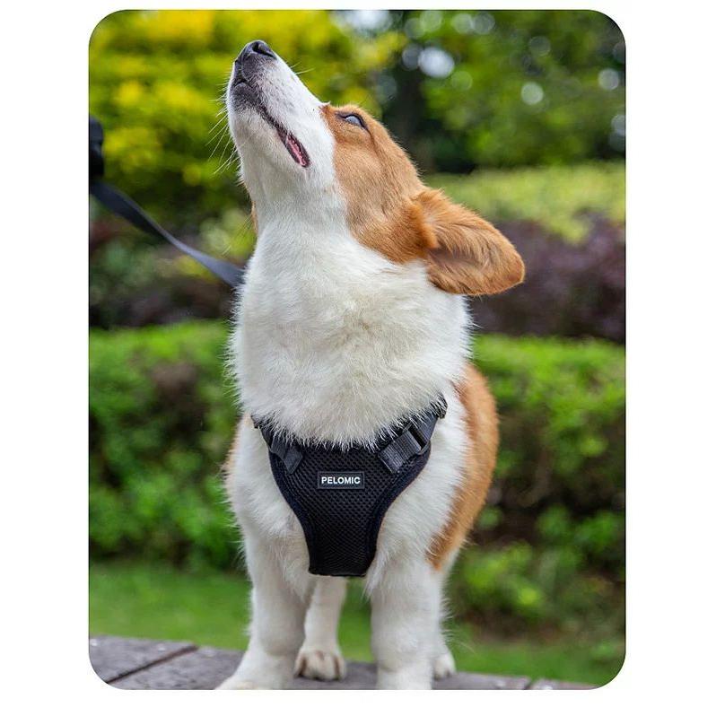 新商品プロモーション,数量限定 猫 犬 ハーネス ペット 服 フルカバー ウェアハーネス 胴輪 キャット ドッグ メッシュ猫 犬