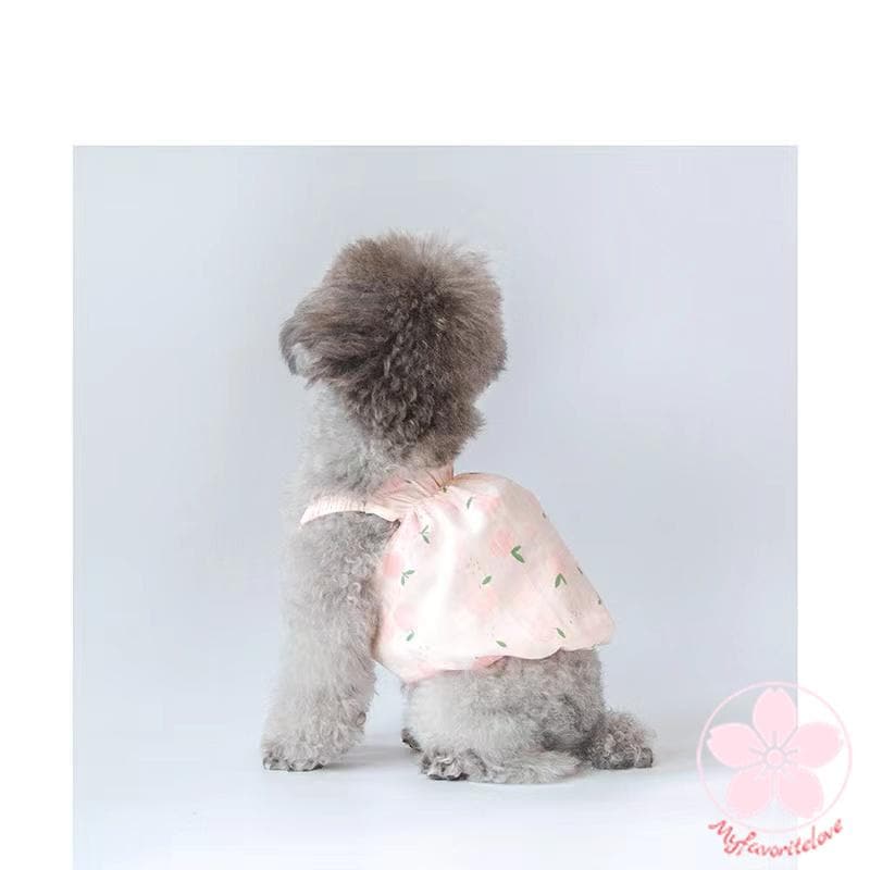 新作登場 ぺット 服 安い 犬 春 夏 ピーチ 柄 キャミソール かわいい 可愛い ハイブランド 猫 ドッグ ウェア