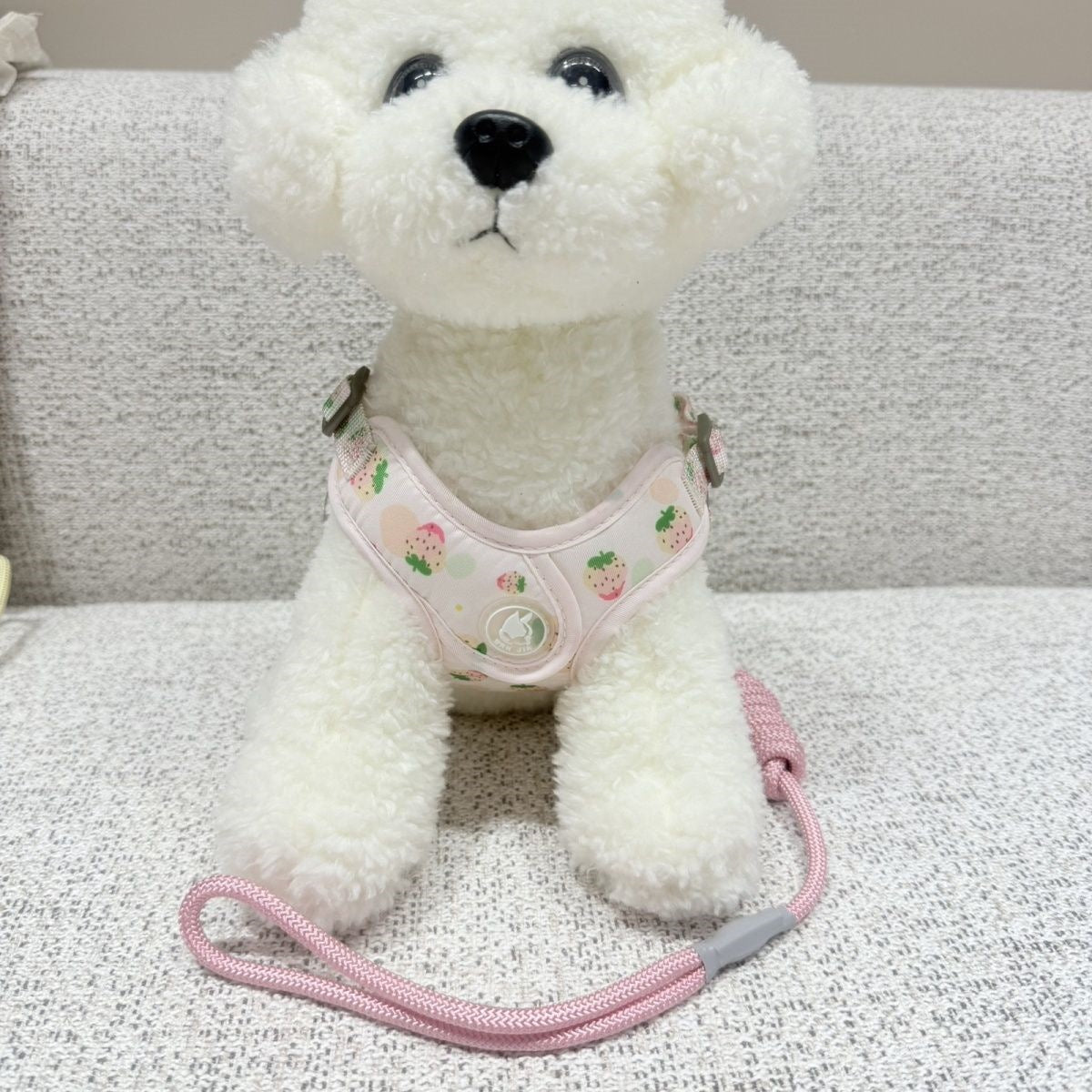 新型伸縮可能な通気性ペットの胸の牽引紐の小型犬は四季を通じて通用します