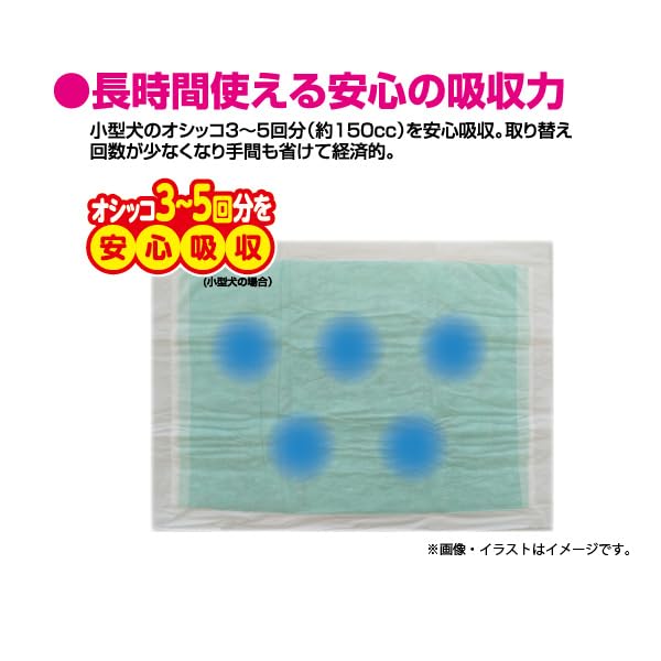 クリーンワン ダブルストップ 消臭炭シート ワイド 40枚
