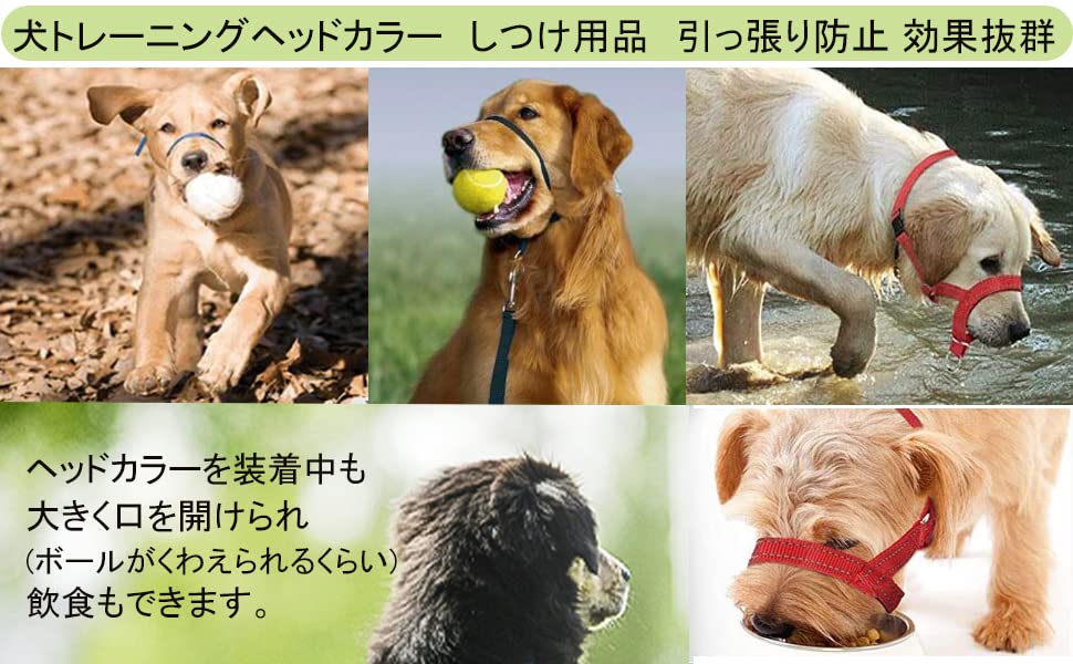 新作セールVOOPH ジェントルリード 犬 トレーニングヘッドカラー 犬用ヘッドカラー ペット用品 ヘッドカラー ジェントルリーダー 犬の首輪マズル 犬ホルター ヘッドカラー クイックリリース トレー