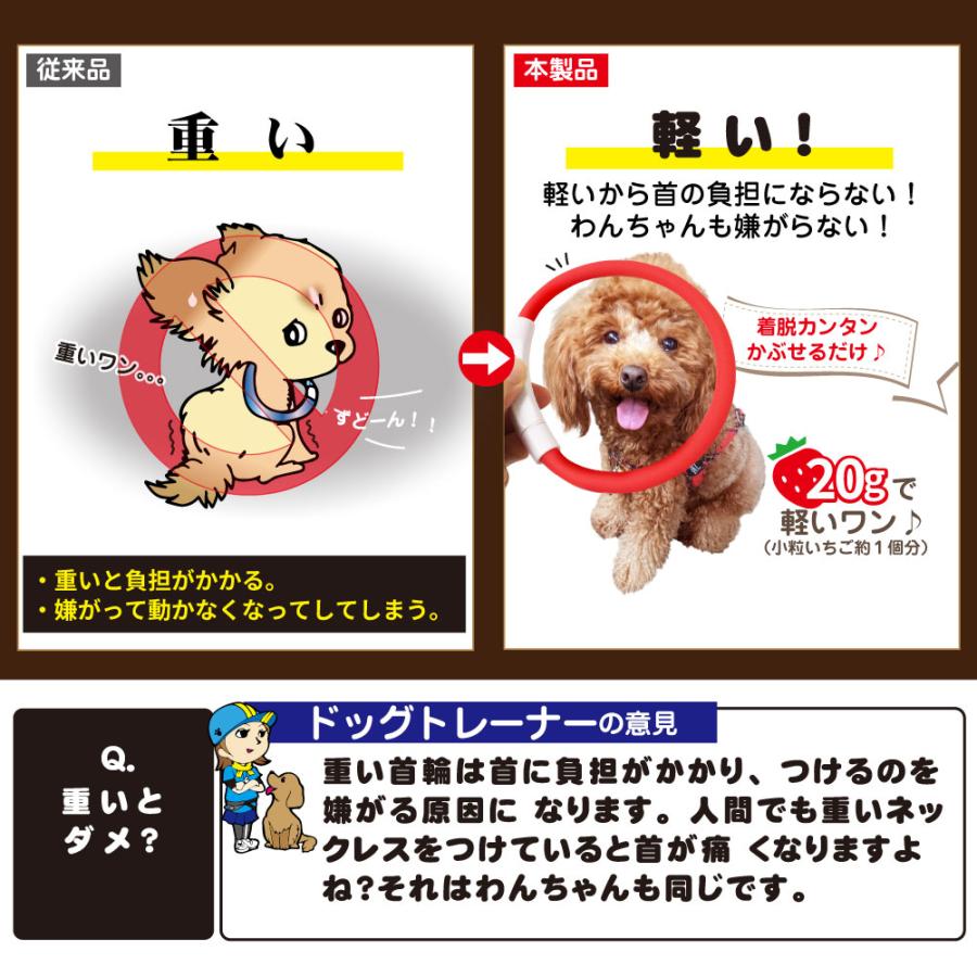 中型 猫 首輪 小型 ペット 大型 LED 充電式 光る 犬 ライト カラー