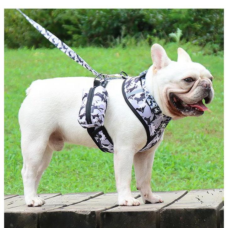新商品プロモーション,数量限定 犬 猫 ハーネス リード 首輪 トイレ袋入れ 4点セット ペット 胸あて 迷彩 胴輪 キャット ドッグ メッシュ犬 猫