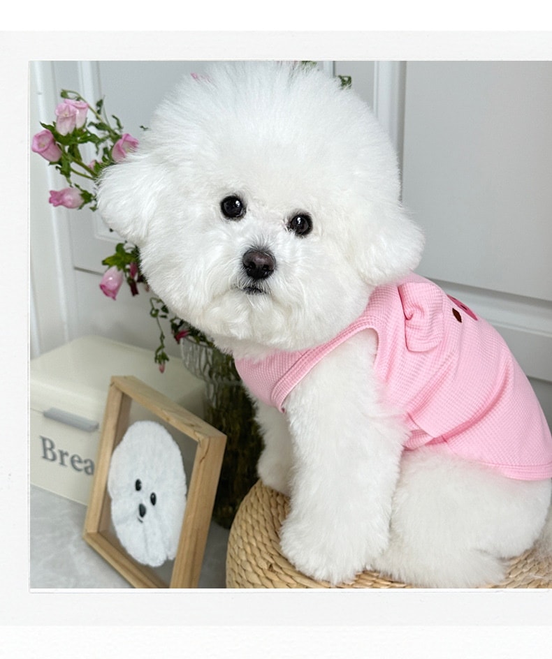 犬服2025 ペットウェア 新作ペット犬猫服テディビションプードルリーシャブルワッフルベスト