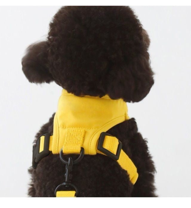 韓国版の中で小型の犬のテディは熊のコーキに比べて外出して犬を散歩します メガ割ワンピースパンツトートバッグ