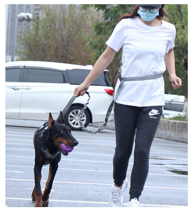 高い人気 リード 犬 ハンズフリー 腰に巻ける 肩掛け 犬リード 大型犬 中型犬 小型犬 しつけ用リード 犬と一緒にランニング/ジョギング/散歩用 ベルト ショルダー ポール留め マルチ ペット用品