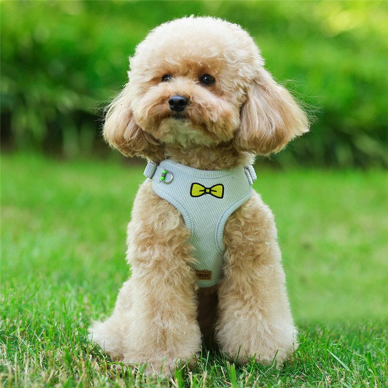 中型犬小型犬散歩グッズ 簡単装着 犬 脱げない 首輪 4カラー 苦しくない ハーネスリードセット おしゃれな